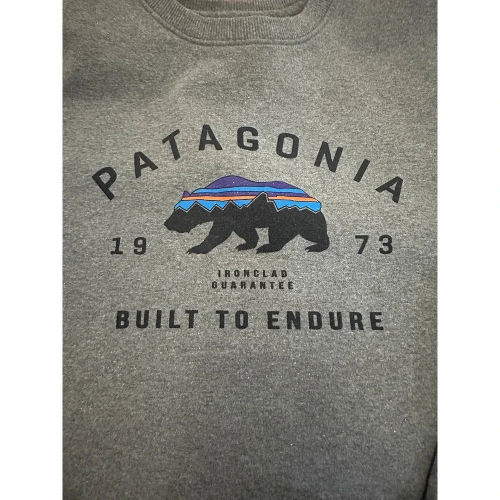 Patagonia Gray Sweatshirt with Black and Blue Bear Design - Picture 4 of 7
